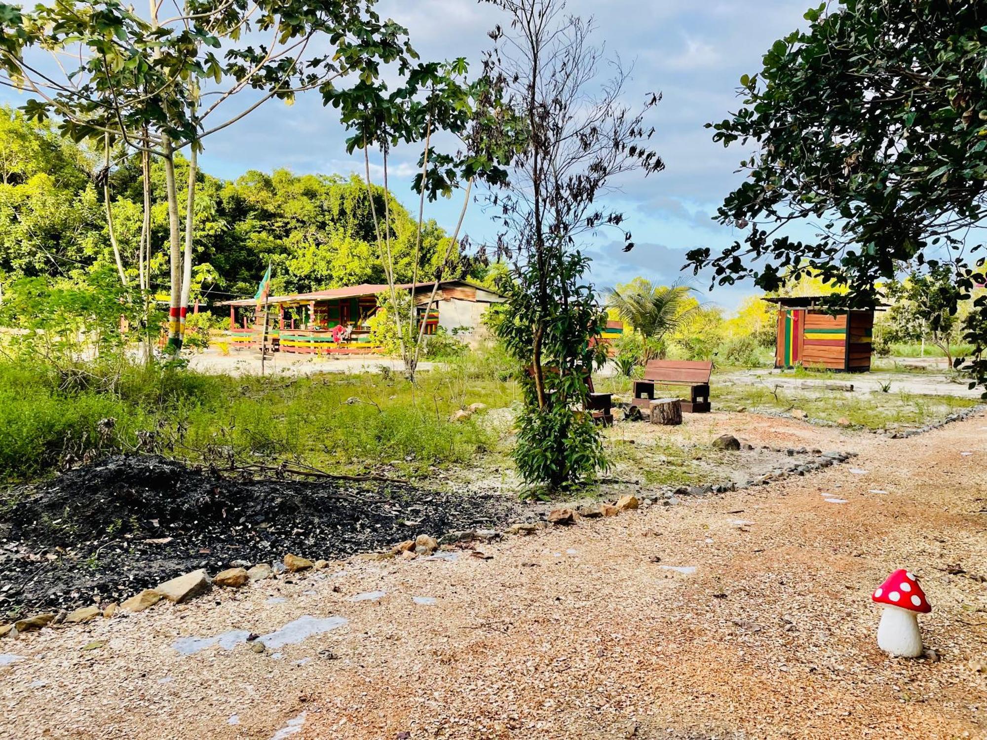 Land Of Promise - Reggae Bar & Eco Village Zanderij Εξωτερικό φωτογραφία