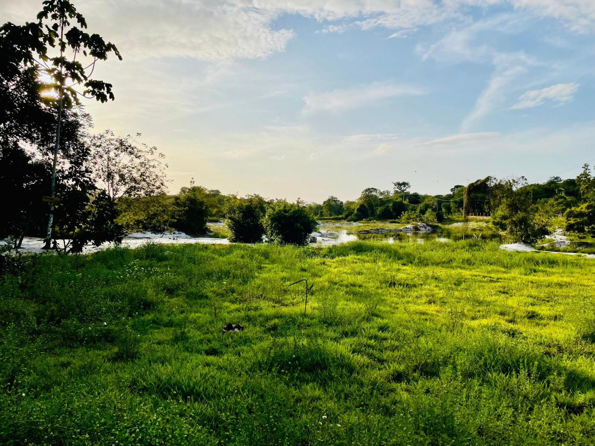 Land Of Promise - Reggae Bar & Eco Village Zanderij Εξωτερικό φωτογραφία