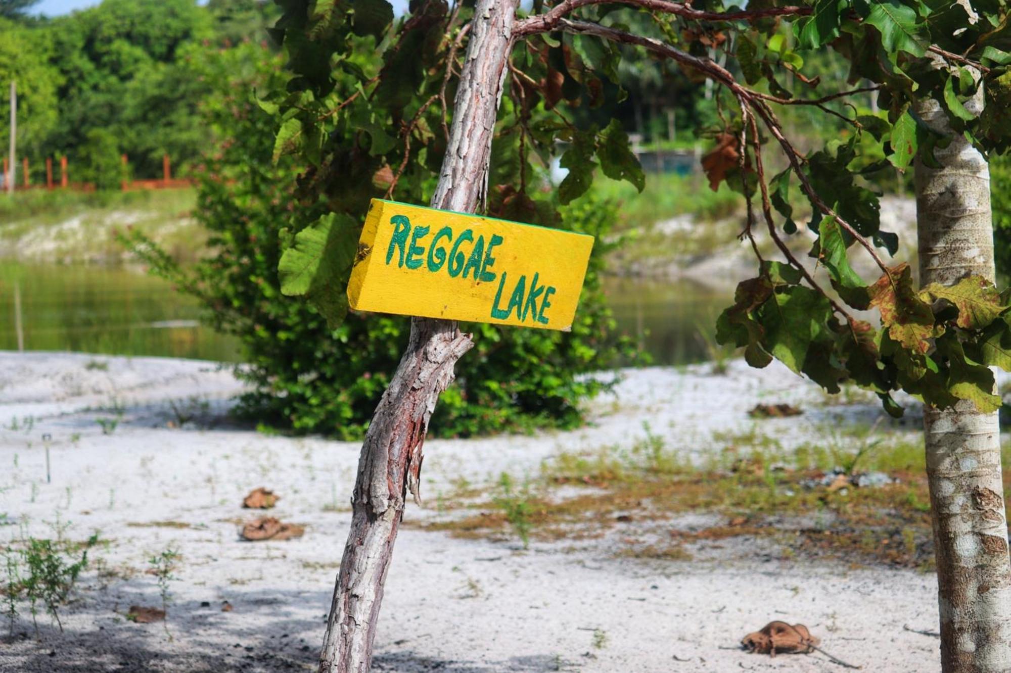 Land Of Promise - Reggae Bar & Eco Village Zanderij Εξωτερικό φωτογραφία
