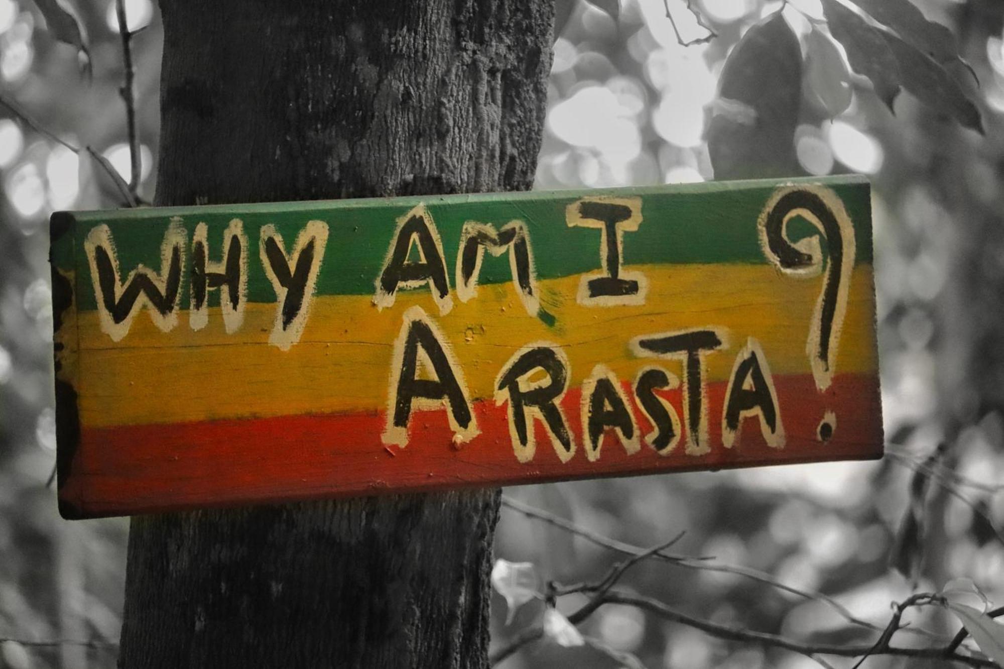 Land Of Promise - Reggae Bar & Eco Village Zanderij Εξωτερικό φωτογραφία