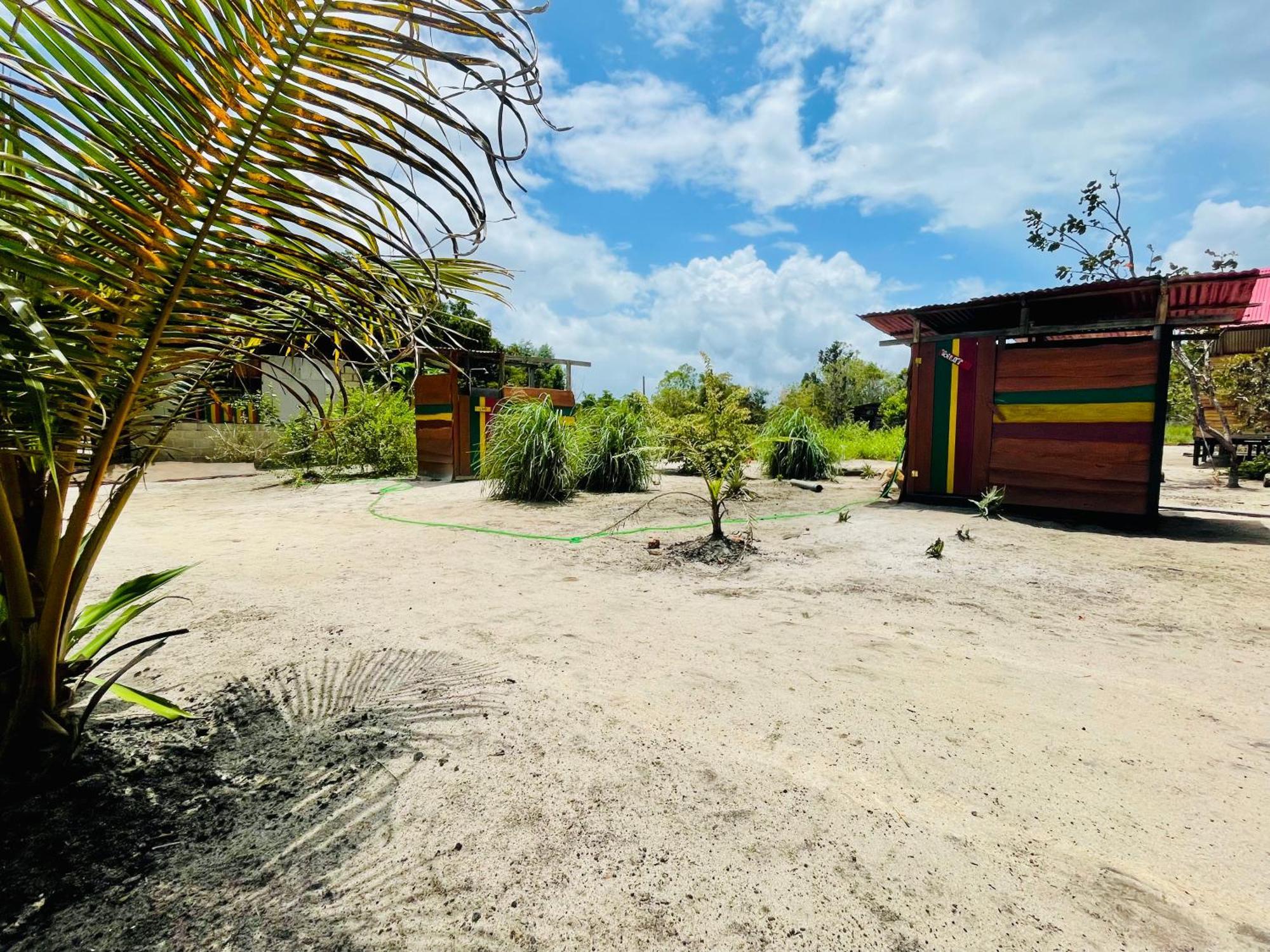 Land Of Promise - Reggae Bar & Eco Village Zanderij Εξωτερικό φωτογραφία